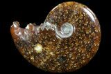 Polished, Agatized Ammonite (Cleoniceras) - Madagascar #73258-1
